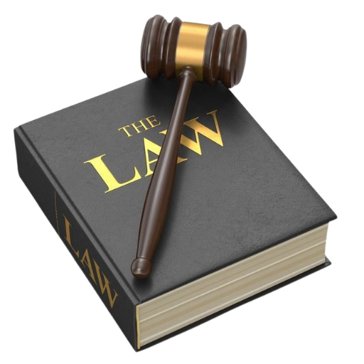 Untitled design (16)